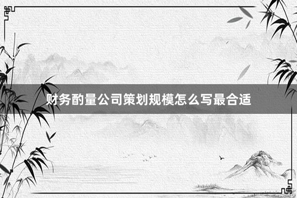 财务酌量公司策划规模怎么写最合适