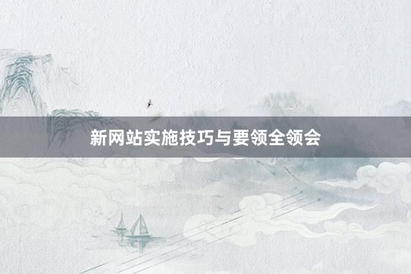 新网站实施技巧与要领全领会